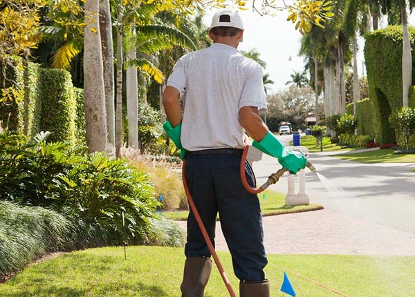 About Glen Gardner NJ Pest Control Pros